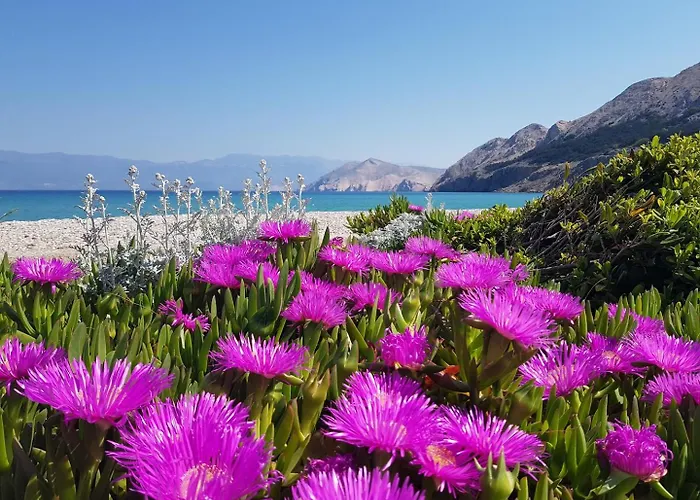 Sunshine 2 Gasthuis Baška