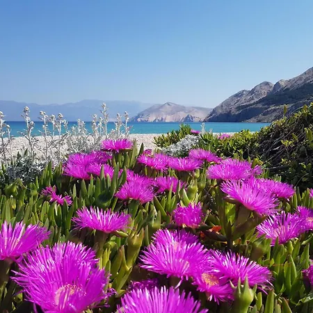 Sunshine 2 Gostinjska kuća Baska (Krk)