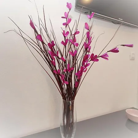 Sunshine 2 3* Baška