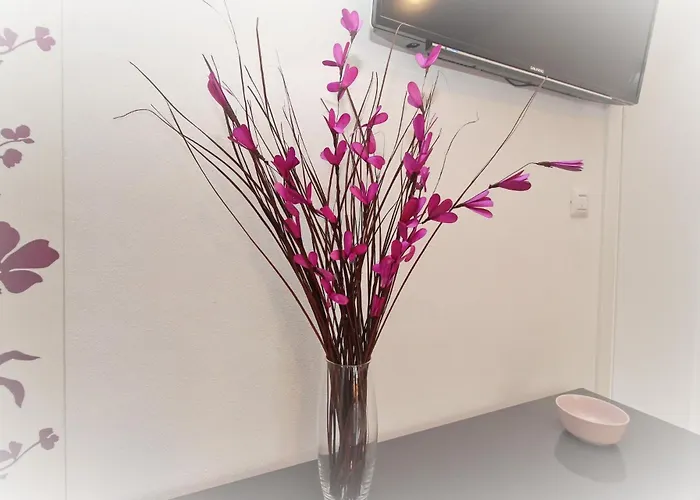 Sunshine 2 3* باشْكا